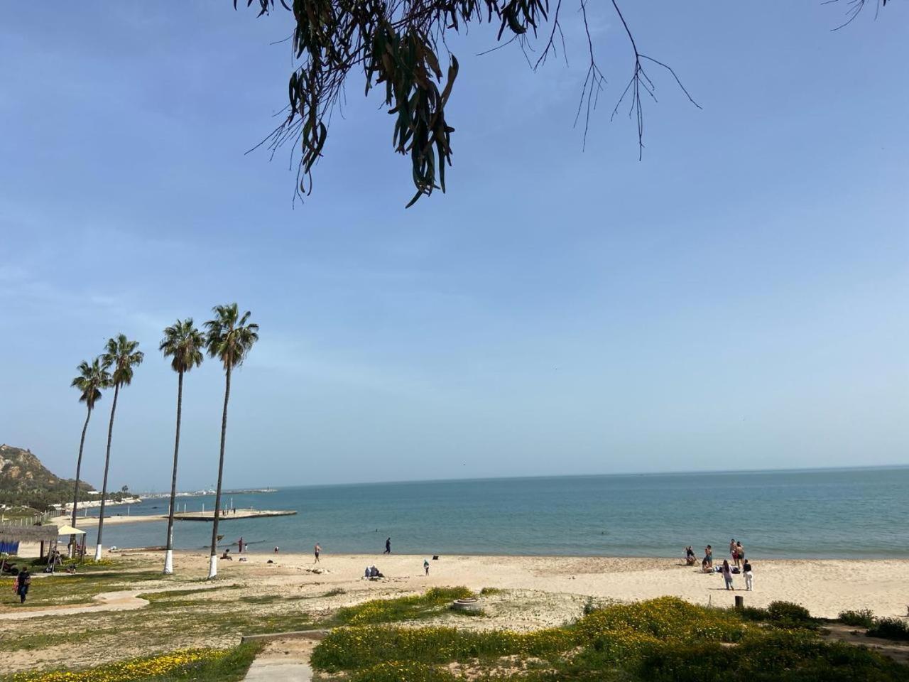 Marsa-Sidi Bousaid Cosy Authentic Apartment 라 마르사 외부 사진