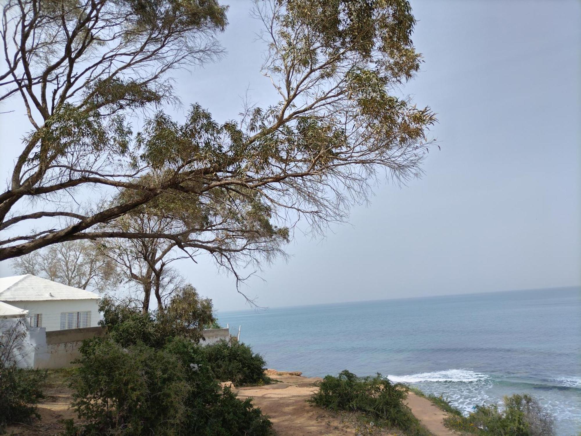Marsa-Sidi Bousaid Cosy Authentic Apartment 라 마르사 외부 사진